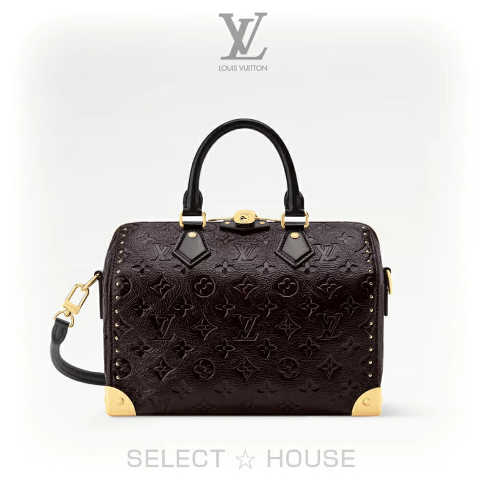 Louis Vuitton Speedy Trunk Black White